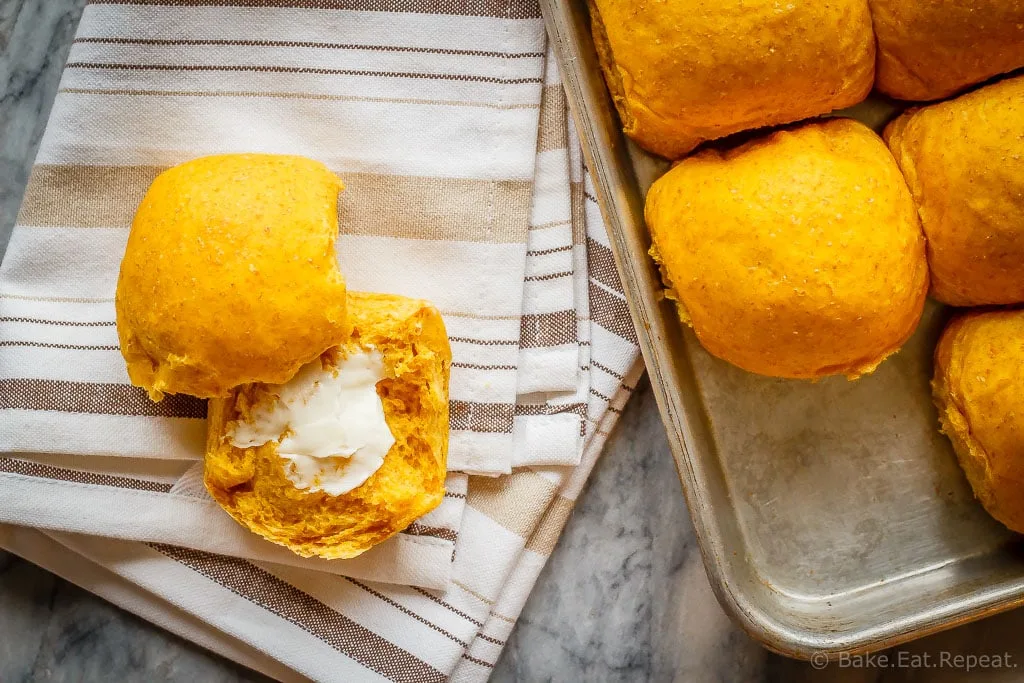 These whole wheat pumpkin dinner rolls are soft and fluffy and so easy to make. Plus they are amazing piled with turkey or ham for lunch!