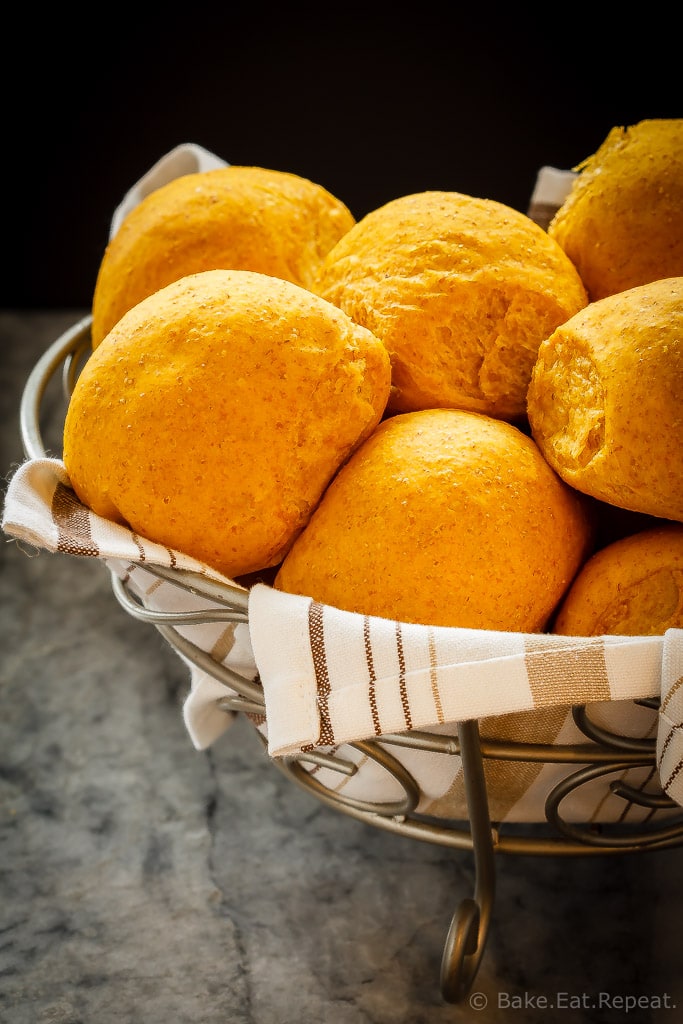 These whole wheat pumpkin dinner rolls are soft and fluffy and so easy to make. Plus they are amazing piled with turkey or ham for lunch!