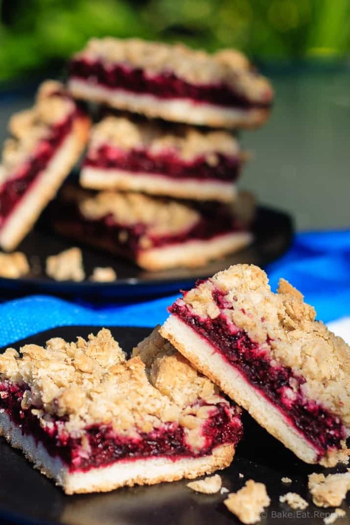 Blackberry Crumble Bars - Easy blackberry crumble bars are perfect for dessert or a special treat to tuck into a lunchbox. A shortbread crust and sweet oatmeal crumble topping with an amazing blackberry filling.