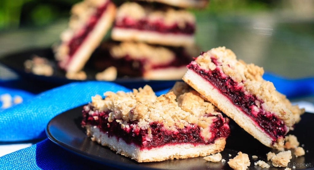 Blackberry Crumble Bars - Easy blackberry crumble bars are perfect for dessert or a special treat to tuck into a lunchbox. A shortbread crust and sweet oatmeal crumble topping with an amazing blackberry filling.