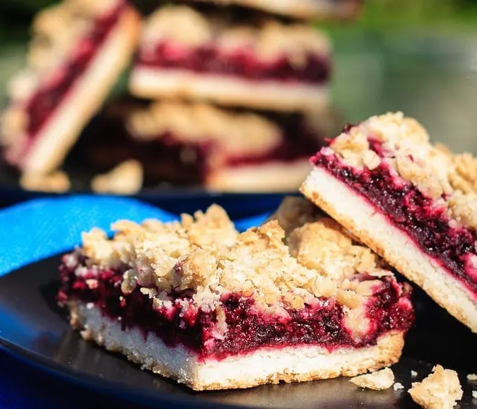 Blackberry Crumble Bars - Easy blackberry crumble bars are perfect for dessert or a special treat to tuck into a lunchbox. A shortbread crust and sweet oatmeal crumble topping with an amazing blackberry filling.