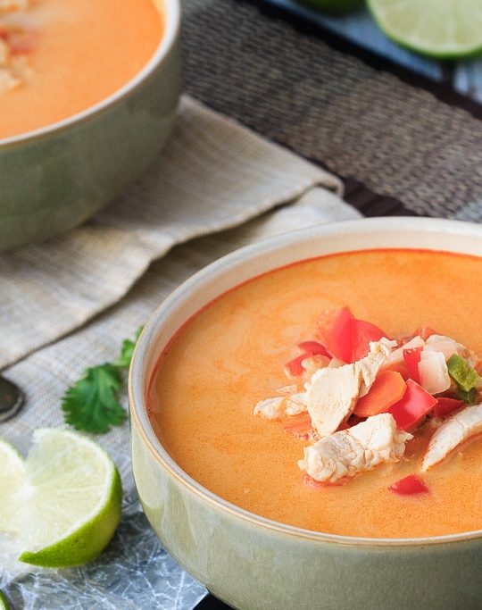 Thai Chicken and Vegetable Soup - Easy to make and ready in 30 minutes, this Thai chicken and vegetable soup is the perfect dinner! #30MinuteThursday