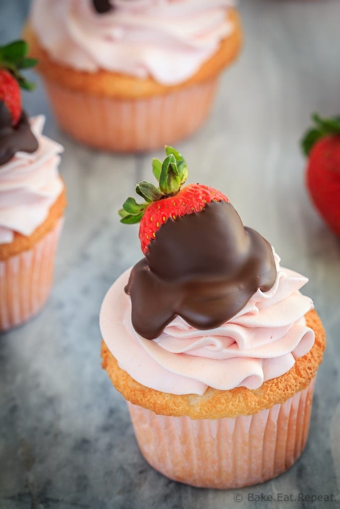 These chocolate covered strawberry cupcakes are the perfect sweet treat for Valentine's Day - angel food cupcakes with strawberry whipped cream frosting!