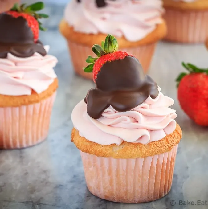 These chocolate covered strawberry cupcakes are the perfect sweet treat for Valentine's Day - angel food cupcakes with strawberry whipped cream frosting!