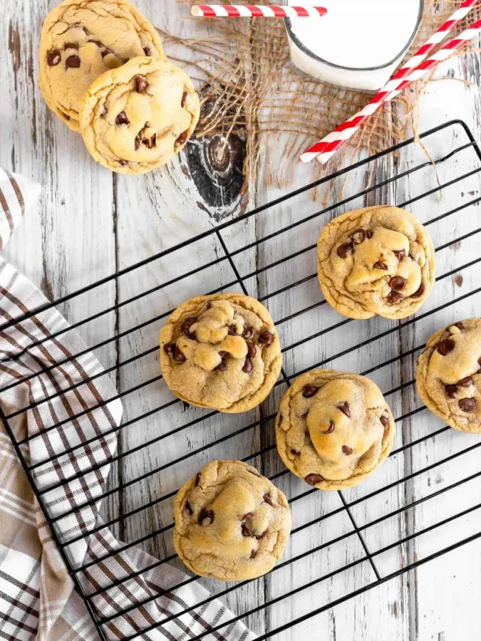 The best chewy chocolate chip cookies