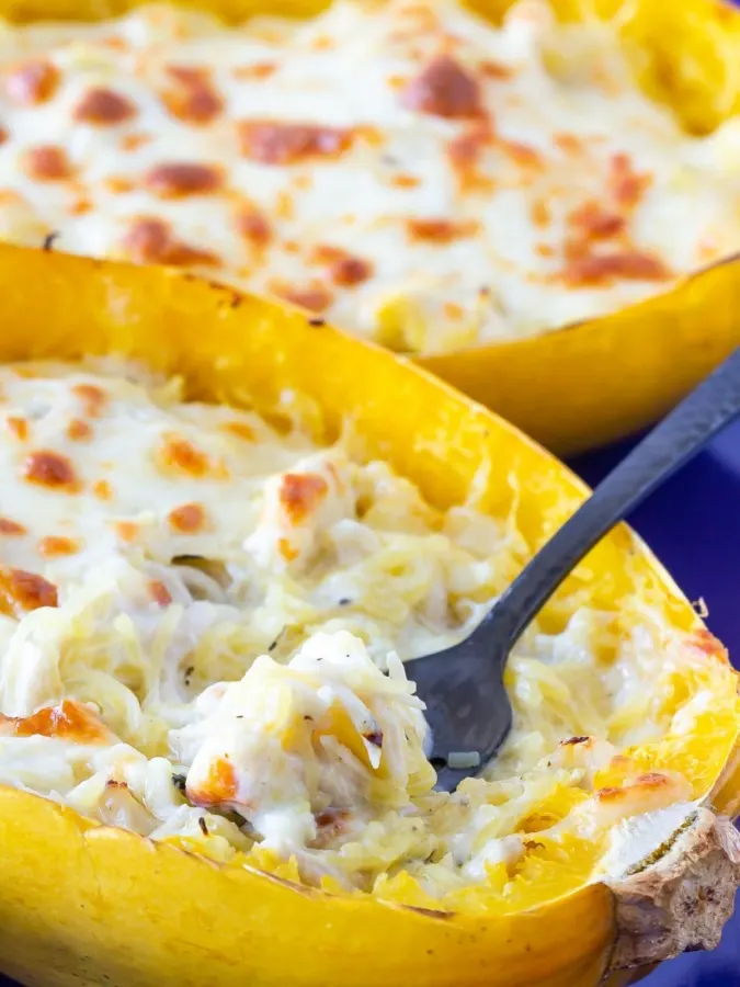 Healthier chicken alfredo with homemade alfredo sauce and spaghetti squash instead of pasta