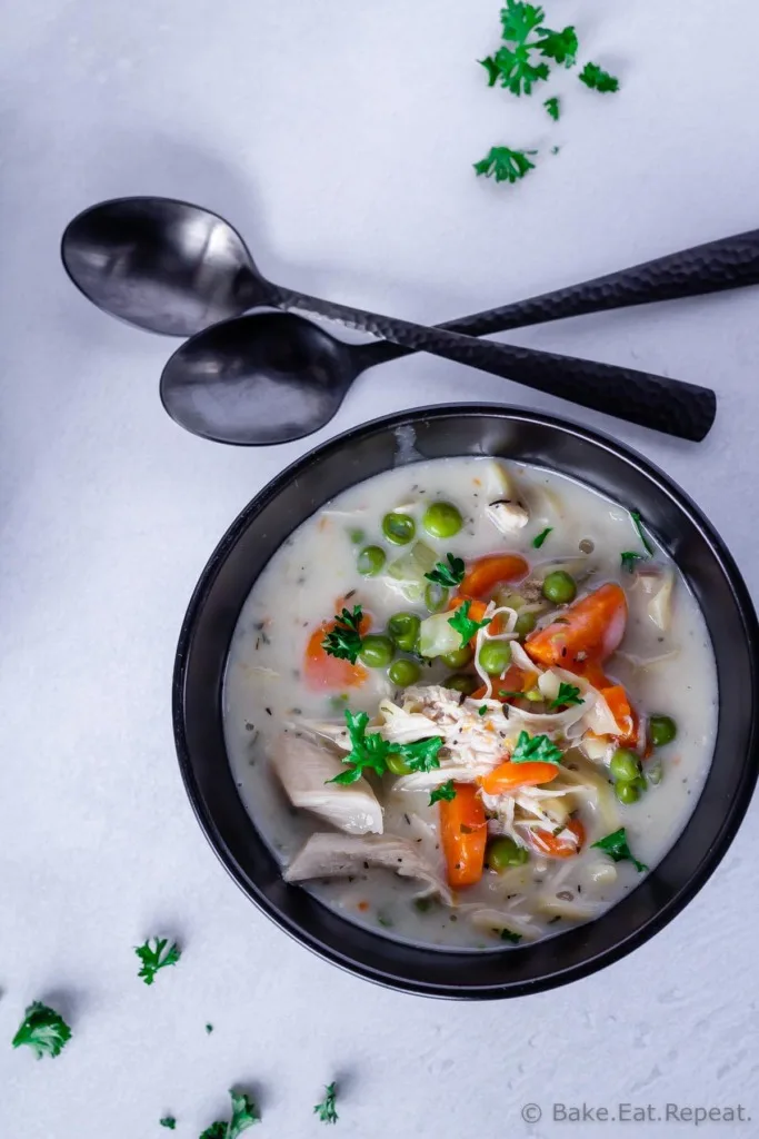 Instant Pot chicken noodle soup