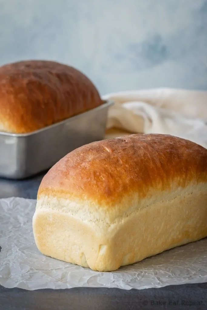 Homemade white bread recipe