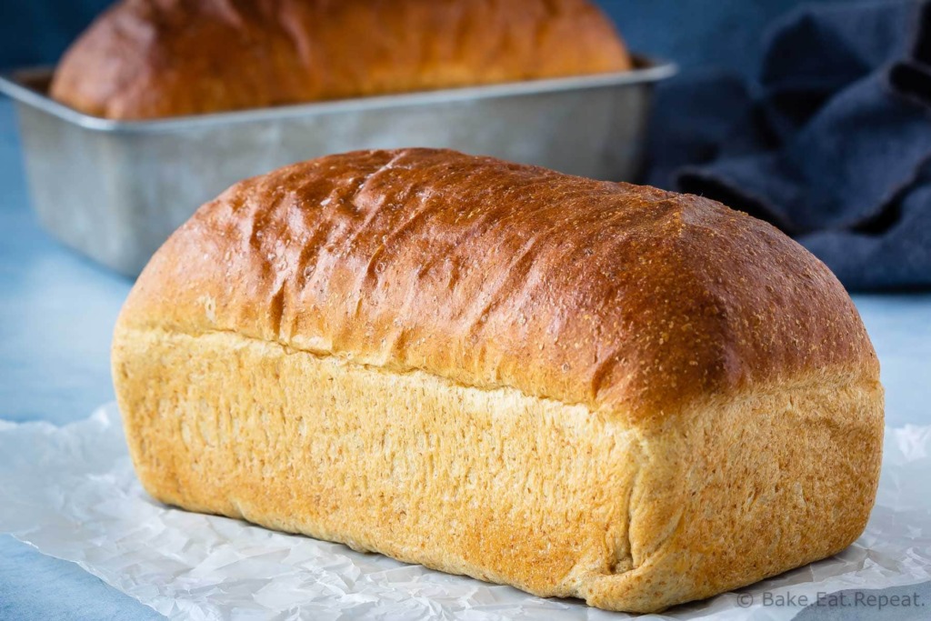 Whole wheat bread recipe