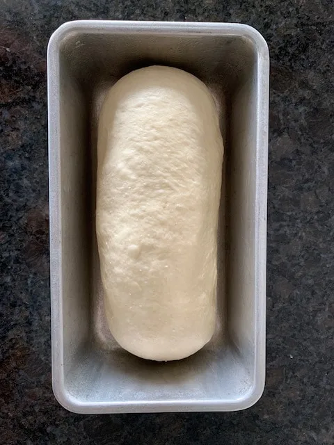 Bread dough in a loaf pan, ready to rise.