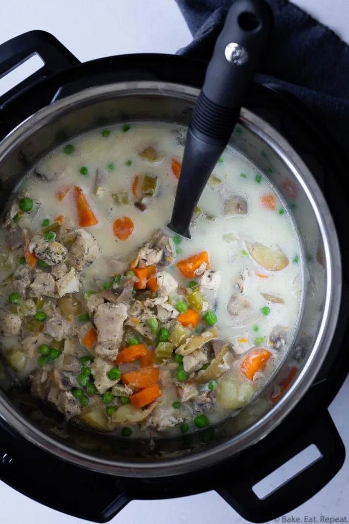 Instant Pot chicken stew