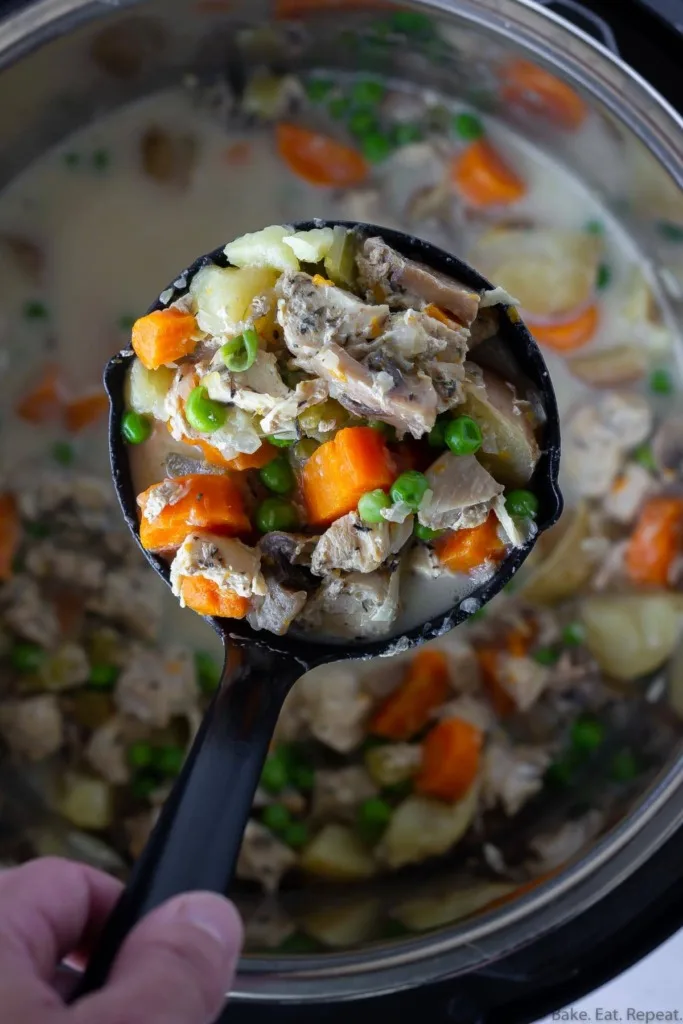 creamy Instant Pot chicken stew