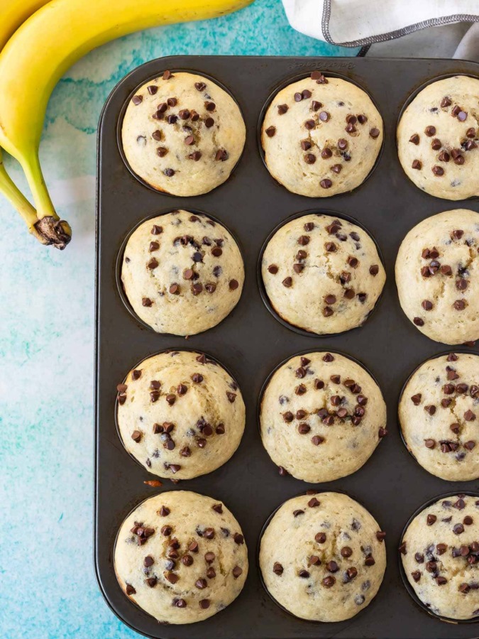 chocolate chip banana muffins