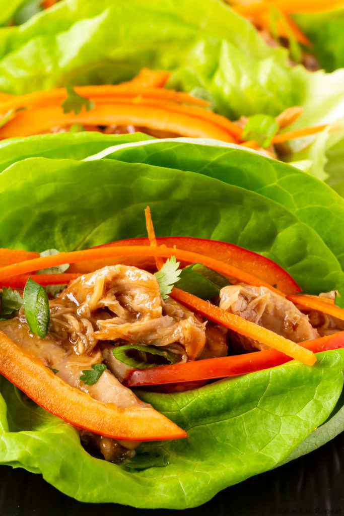 Lettuce wraps with hoisin chicken, carrots, red pepper, green onions, and cilantro