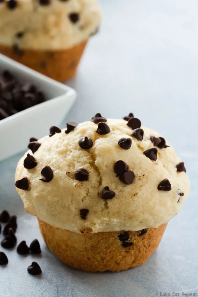 easy chocolate chip muffins